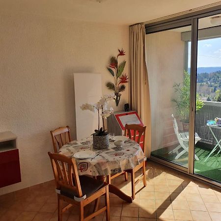La Vue Du Chateau - Tout Confort Gréoux-les-Bains Exteriör bild